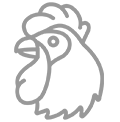 shape