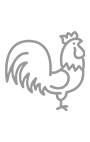 shape