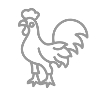 shape